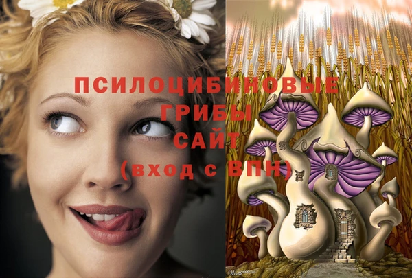 дживик Волгодонск